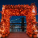 THE PUMPKIN ARCH RETURNS