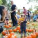 Pumpkin Patch @Queens Botanical Garden