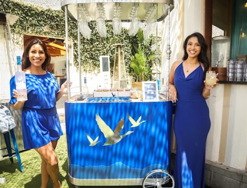Arlo NoMad: Serve & Sip