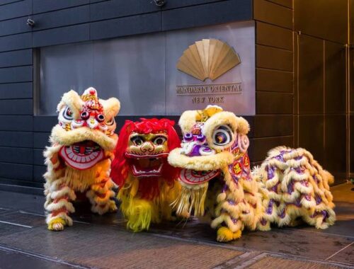 YEAR OF THE HORSE CELEBRATION