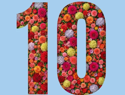 TEN IN BLOOM POPUP AT THE OCULUS