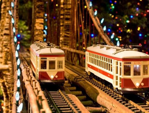 Bar Car Nights: New York Botanical Garden