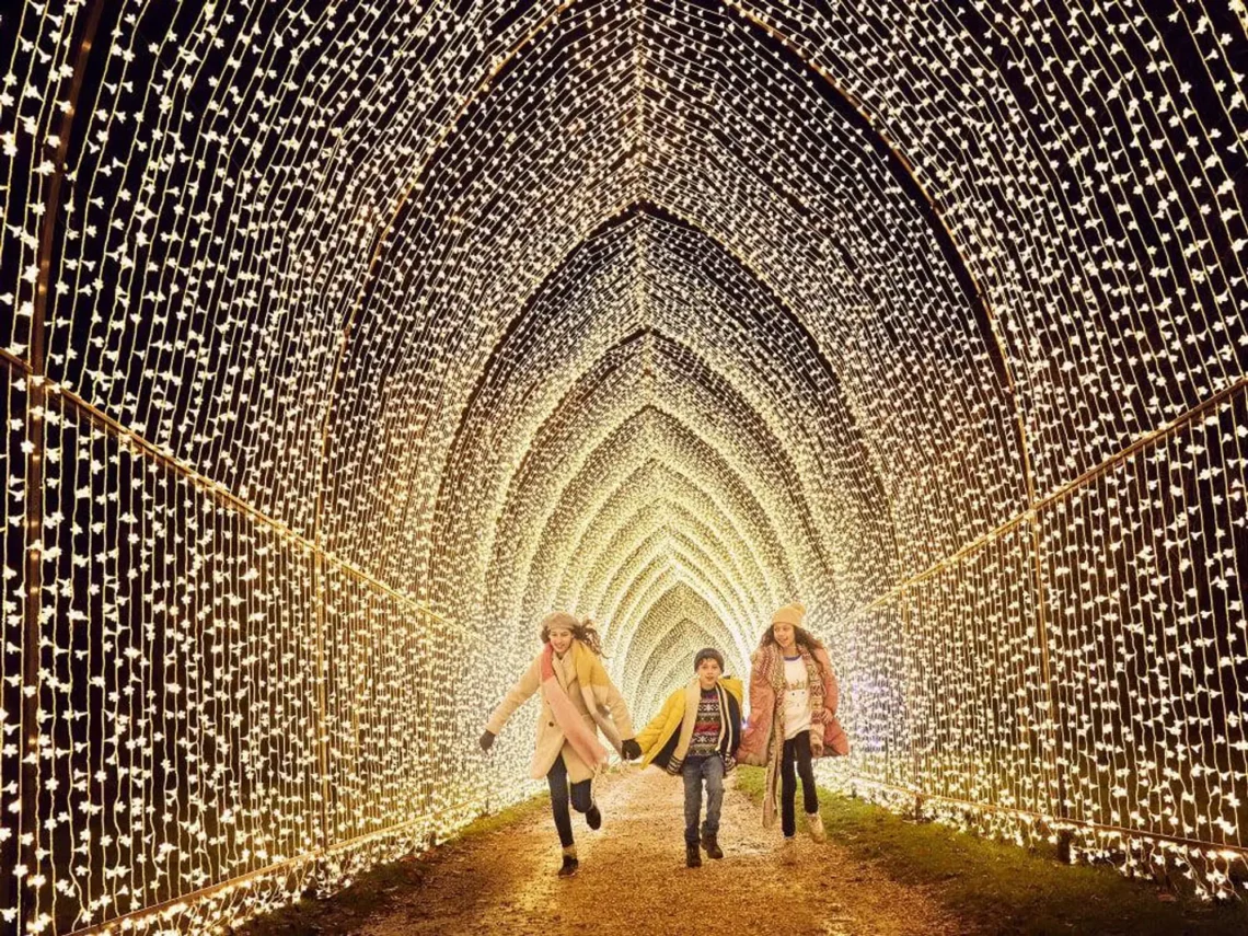 Lightscape