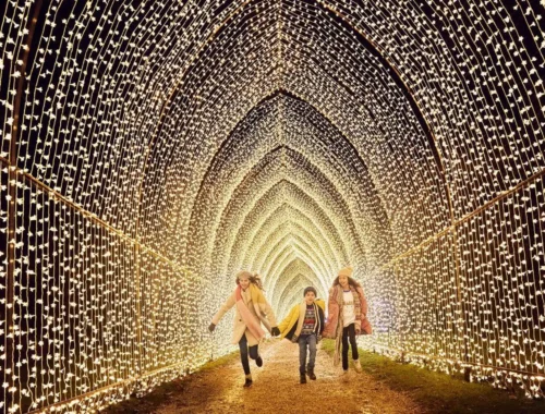 Lightscape