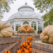 GIANT PUMPKIN CARVING @NYBG