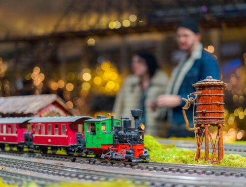 HOLIDAY TRAIN SHOW @NYBG