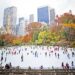 FREE ICE SKATING: WOLLMAN RINK-COMMUNITY DAY