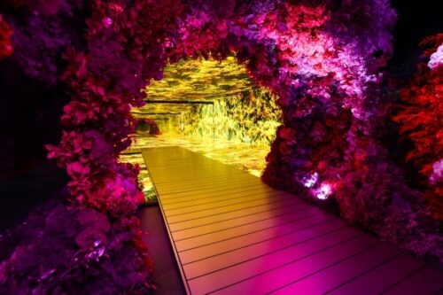 THE FOREST WITHIN: Genesis House Immersive Exhibit