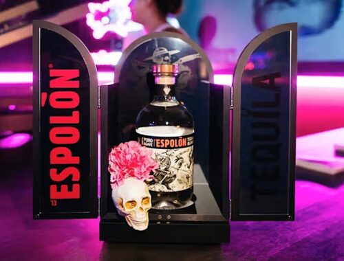 Spirits on the Hudson: Halloween & Día de los Muertos Celebration