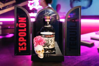 Spirits on the Hudson: Halloween & Día de los Muertos Celebration