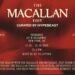 The Macallan Edit, Curated by Hypebeast