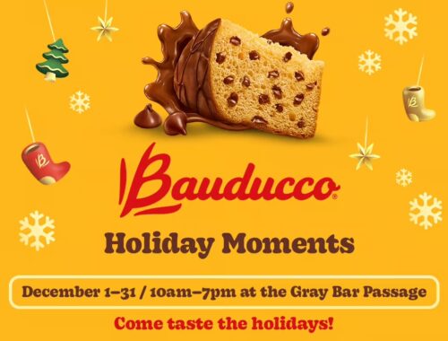 Bauducco Holidays Moments