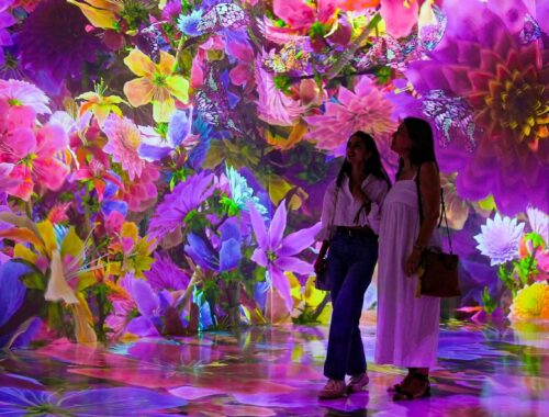 ARTECHOUSE :FREE COMPLIMENTARY ACCESS Blooming Wonders