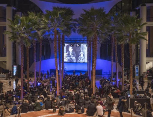 MOVIES UNDER THE PALMS