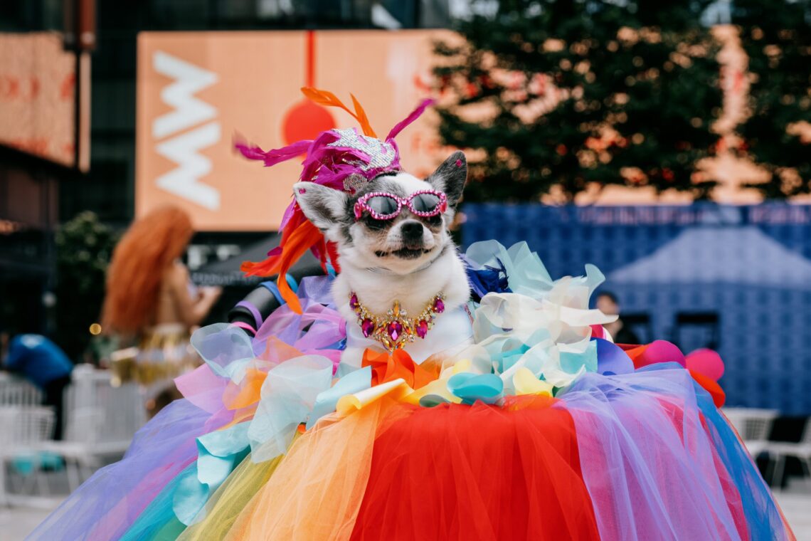 Woof Fest: Paws for Pride 2026