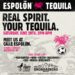 Calle Espolòn: Free Block Party