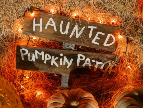 Fall Festivals and Halloween Events at Parks In NYC