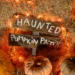 Fall Festivals and Halloween Events at Parks In NYC