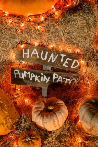 Fall Festivals and Halloween Events at Parks In NYC